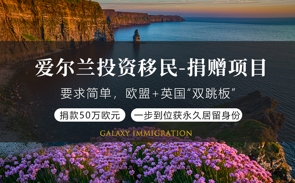 爱尔兰投资移民-捐赠项目