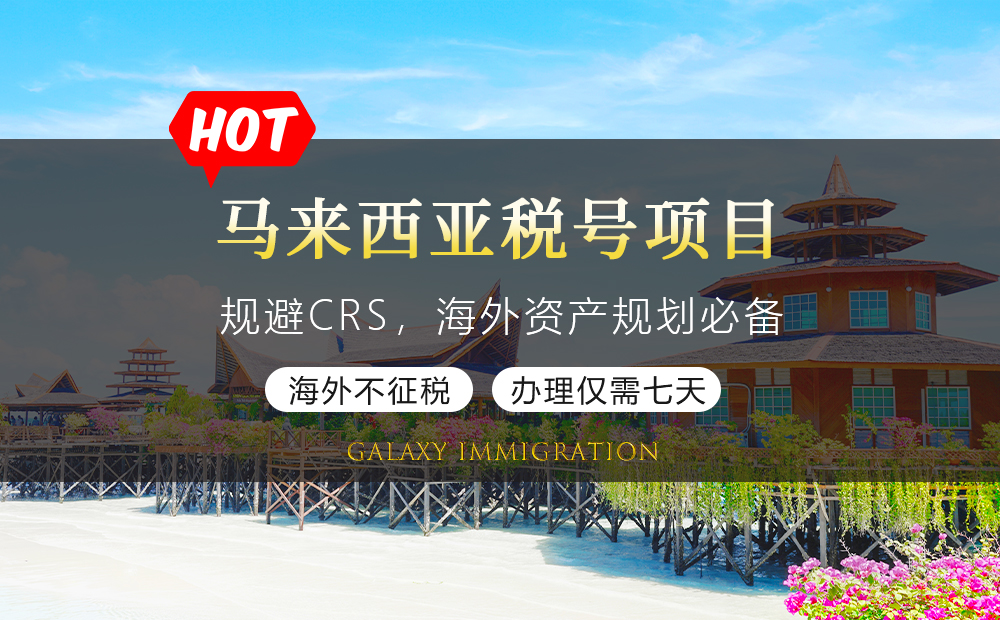 马来西亚税号项目